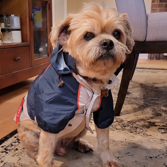 ❤️ Host Pick ❤️ Lightweight Dog Hooded Rain Jacket M - Picture 3 of 16